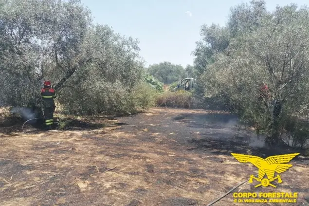 Gli incendi (foto Ansa)