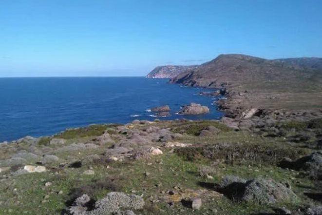 Natura e trekking all'Asinara: escursione senza barriere sull'isola