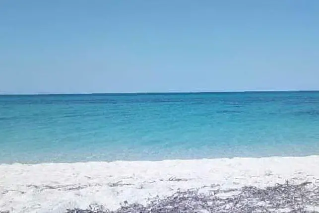 La spiaggia di Fiume Santo (foto L'Unione Sarda - Tellini)