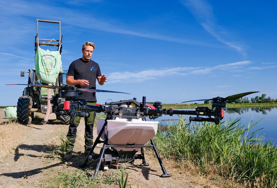 Il riso ora si semina con il drone