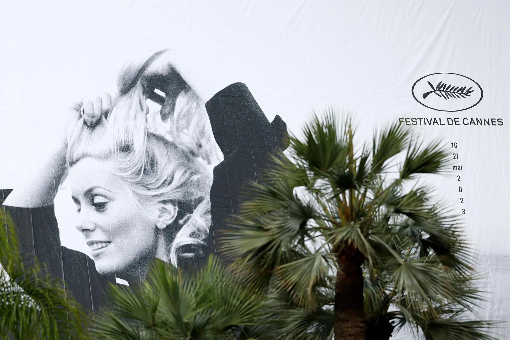 L'immagine che accompagna il festival di Cannes (foto Ansa)