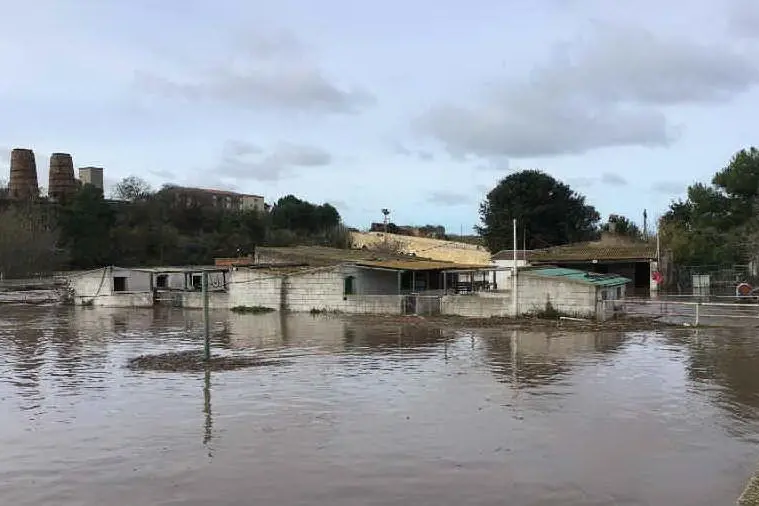 Inondazione del rio Mannu nel novembre 2019 (L'Unione Sarda - Pala)