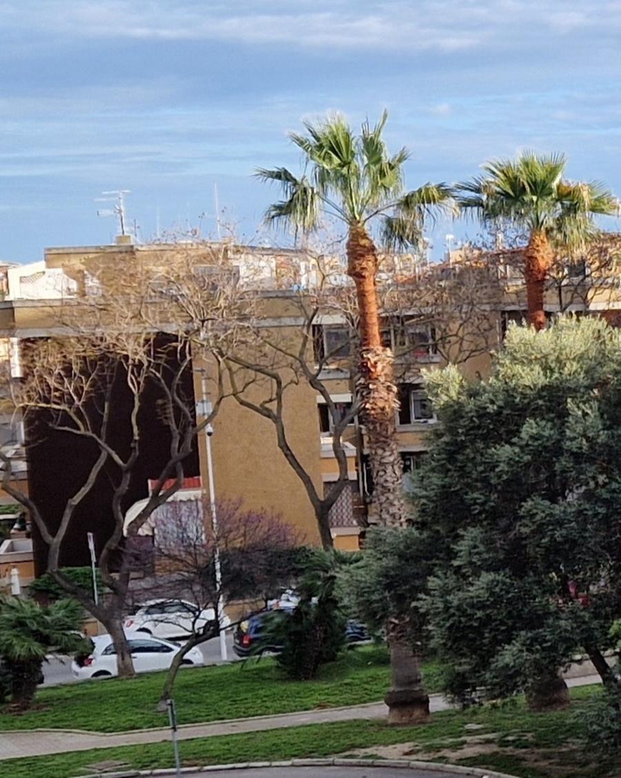 «La perdita al parco del Sole? Colpa dei condomini delle palazzine»