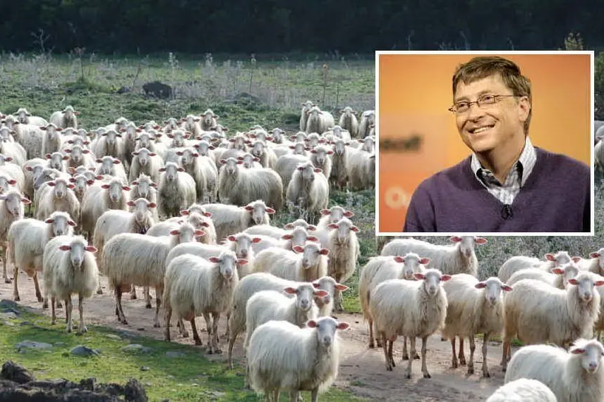 Nel riquadro, Bill Gates