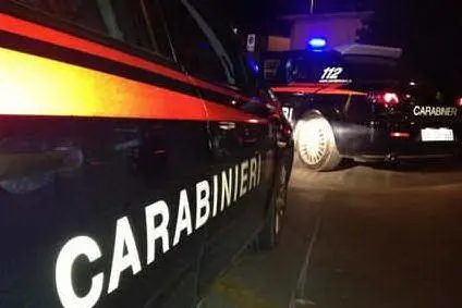 L'intervento dei carabinieri (Ansa)