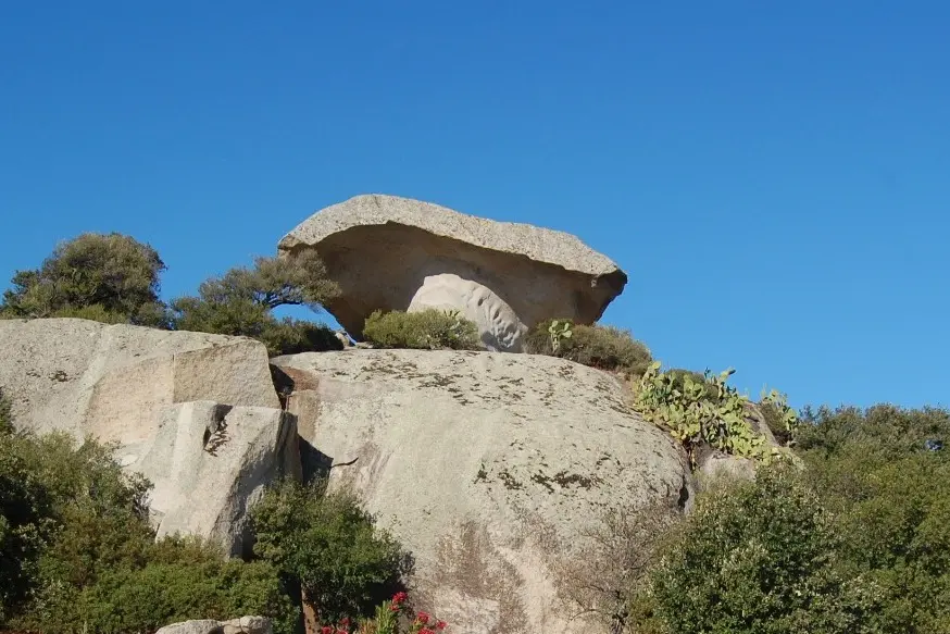 Arzachena, "il fungo"