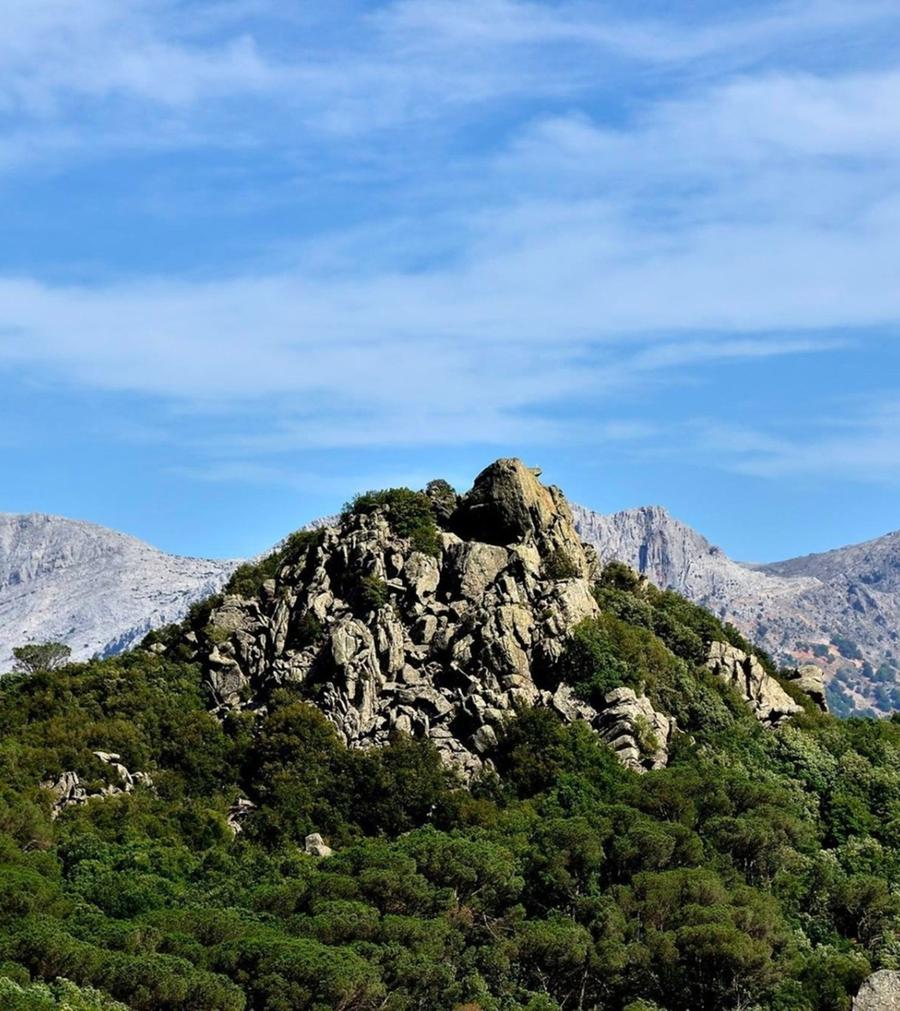 «Un Parco regionale per l’Ortobene»