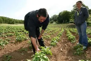 Agricoltori nel Cagliaritano