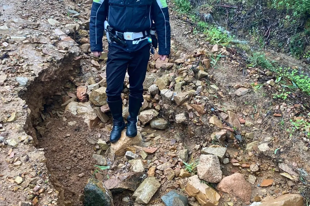 Danni a Monte Cresia