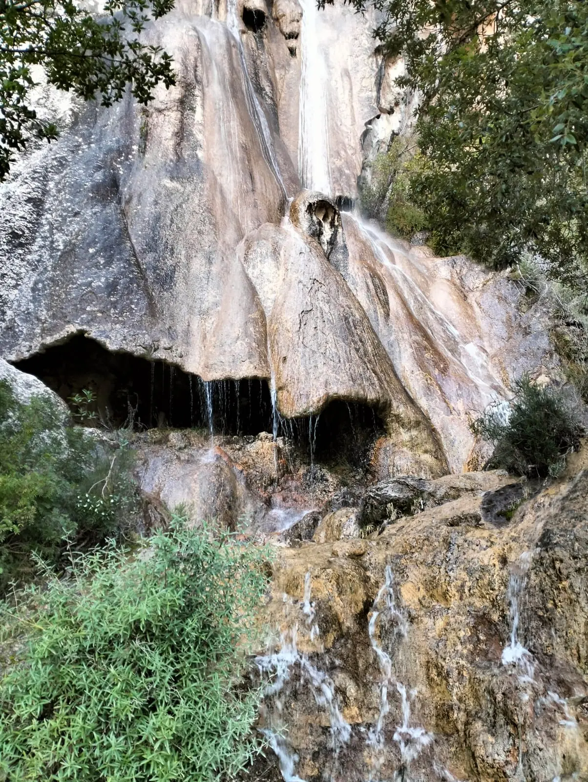 La foresta di Montarbu (Foto Sergio Loi)
