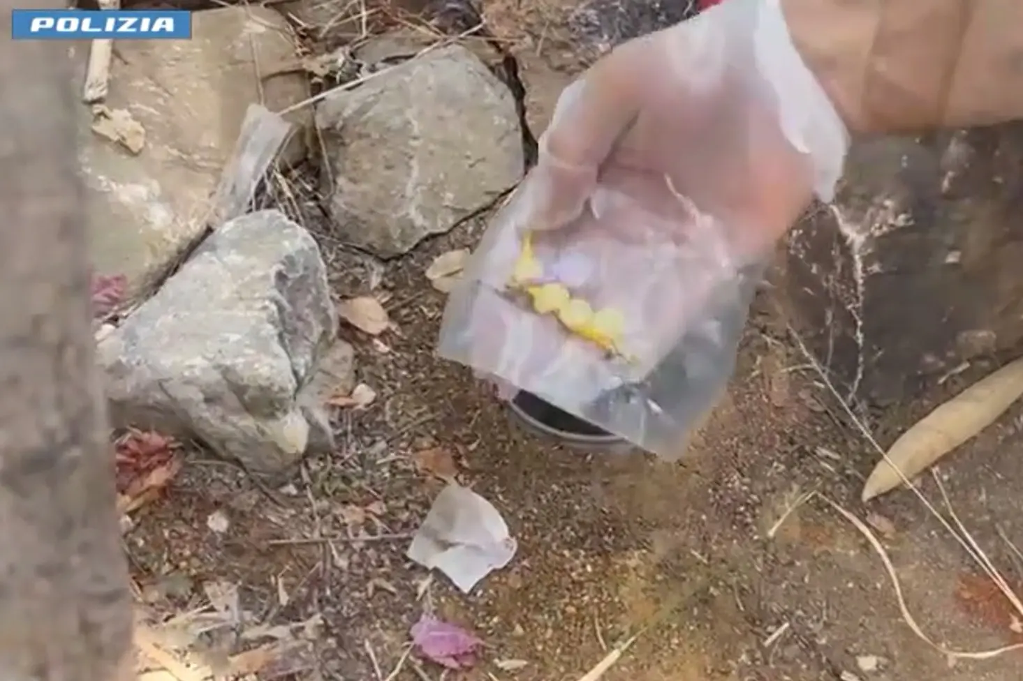 La droga scoperta a Capoterra (foto polizia)