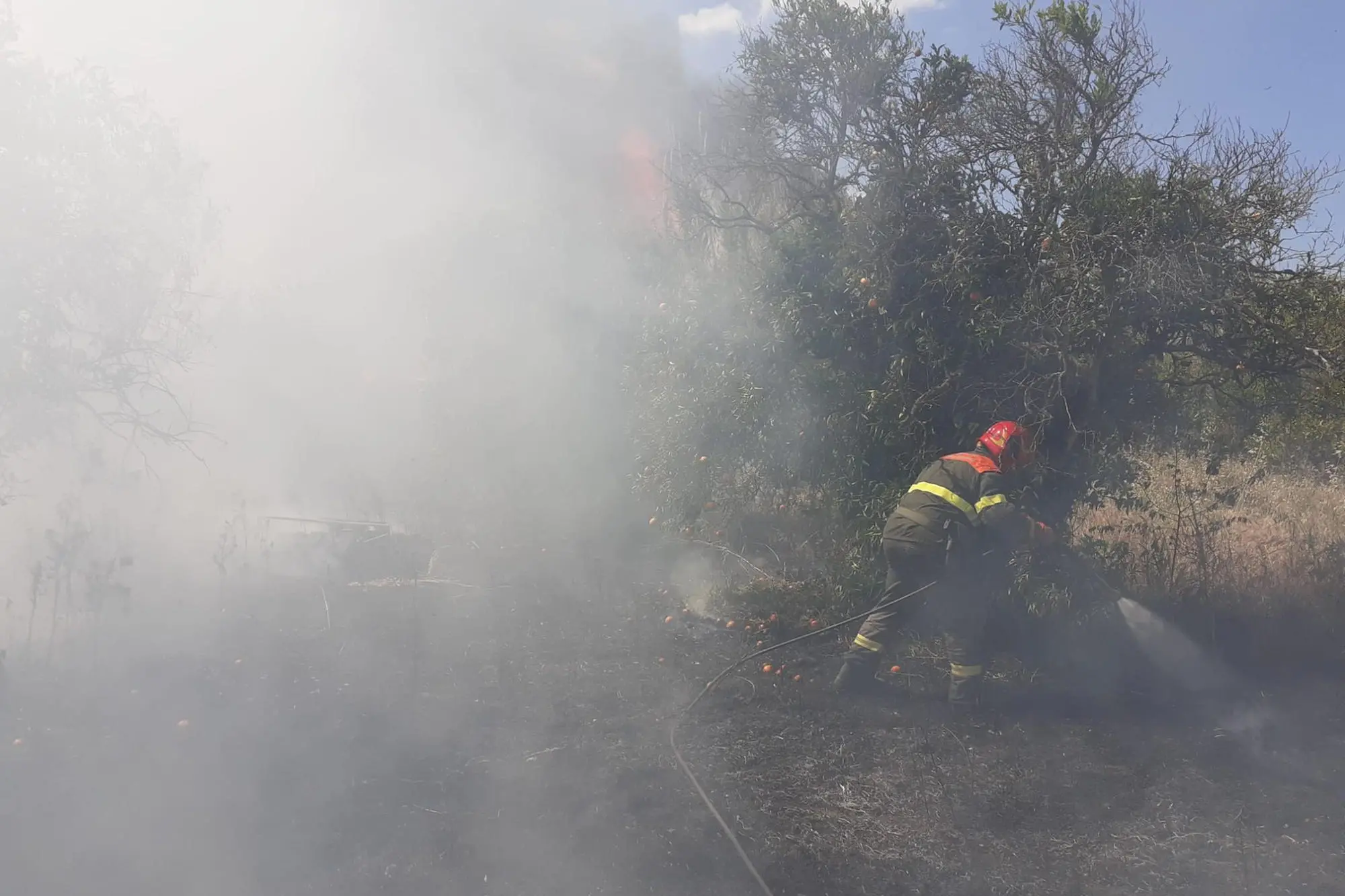 Un recente intervento della Forestale durante un incendio in Ogliastra (foto Secci)