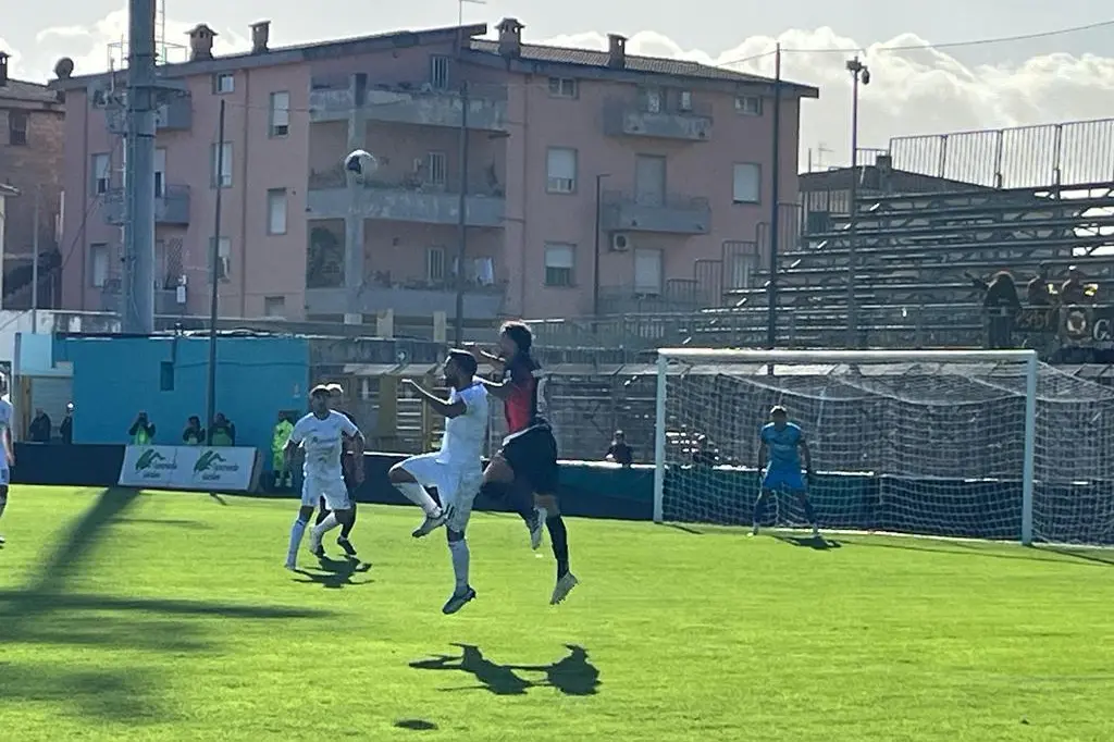 Un'immagine del match tra Olbia e Lucchese, terminato 0-0 al "Nespoli" (foto Ilenia Giagnoni)