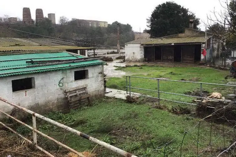Il maneggio dopo la piena (L'Unione Sarda - foto Pala)