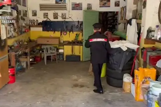 L'operazione (foto carabinieri)
