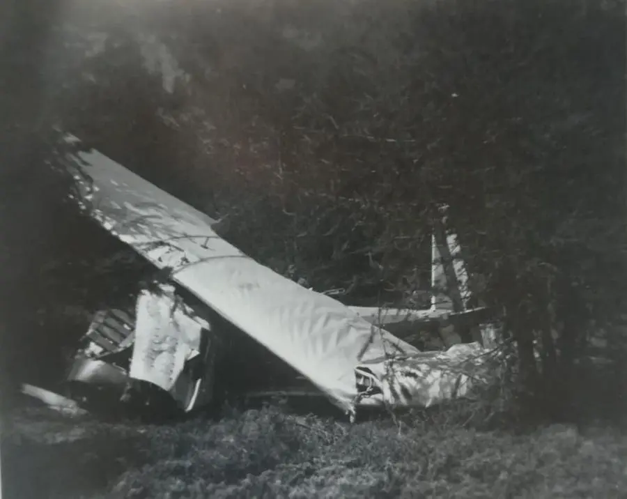 L'aereo dopo lo schianto\u00A0(foto concessa da PierCarlo Porporato)