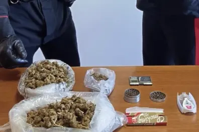 La droga sequestrata dai carabinieri