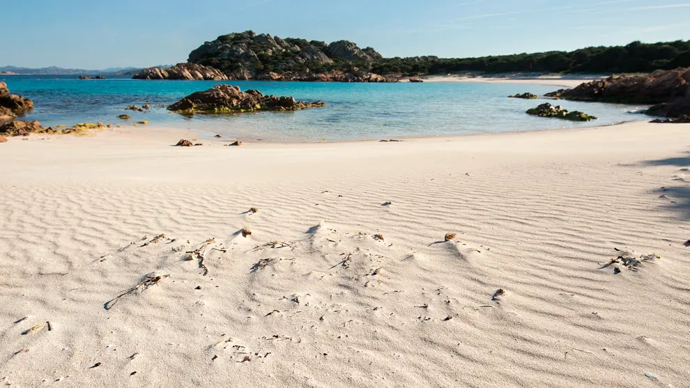 Spiaggia Rosa a La Maddalena: Un Mare di Dubbi e Interventi Necessari