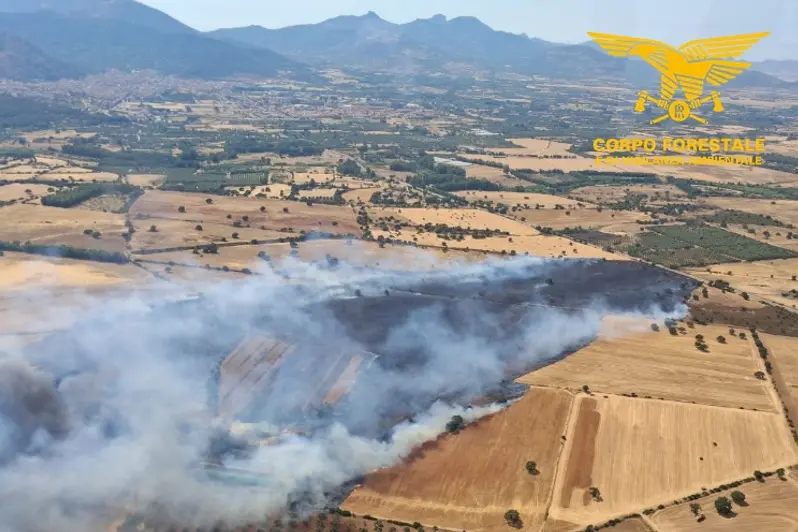 Fiamme nelle campagne di Gonnosfanadiga (foto Corpo Forestale)