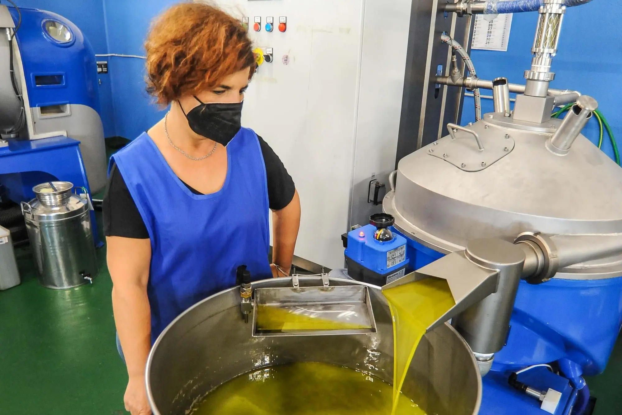 La produzione di olio extravergine in un frantoio della Sardegna
