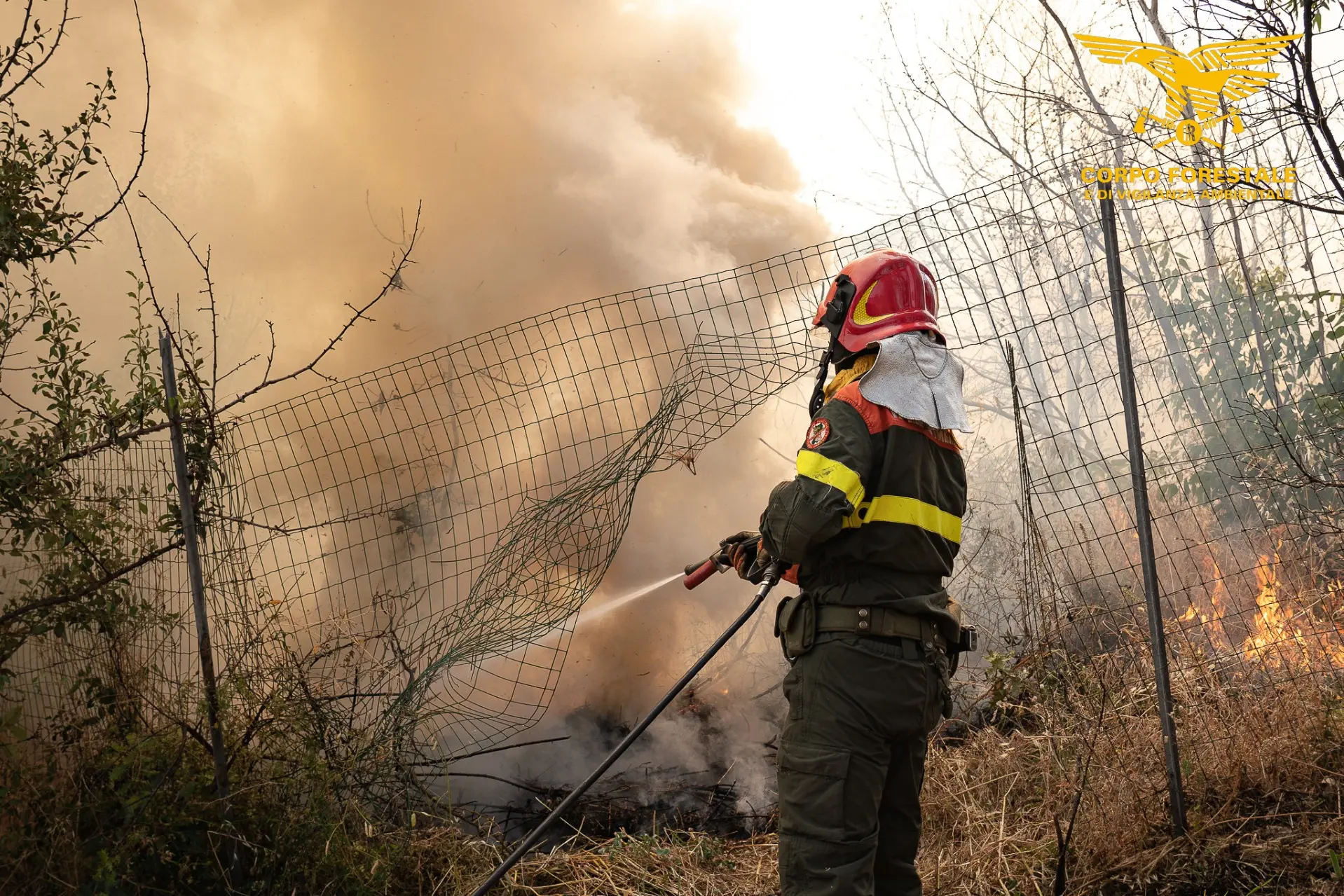 Incendi in Sardegna