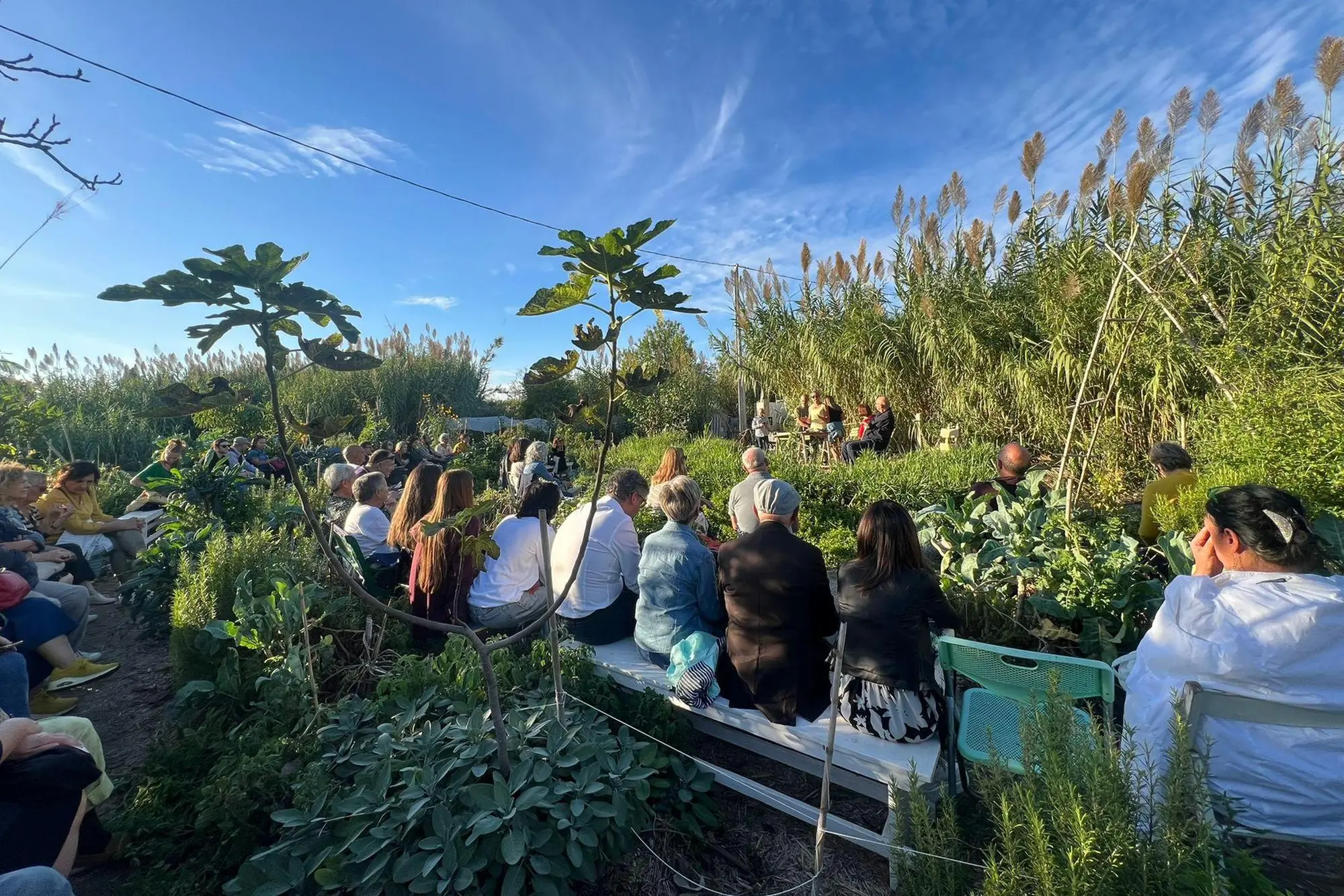 Una serata culturale nell’Orto giardino Mariposa de Cardu