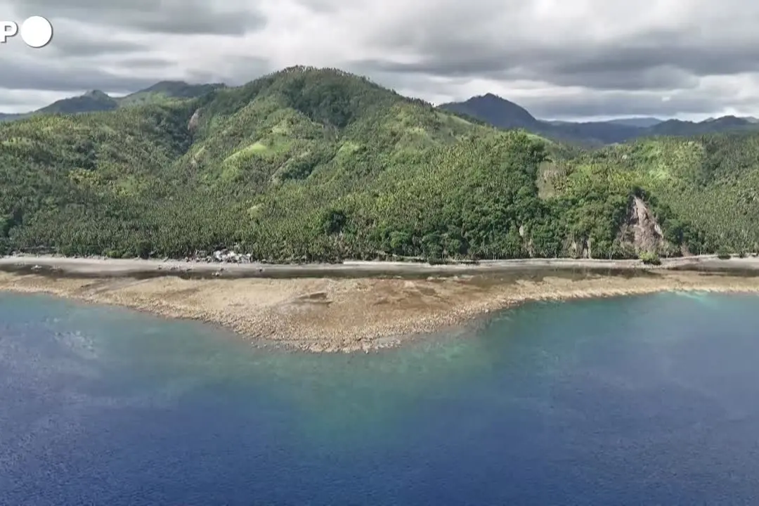 Violento terremoto nelle Filippine sconvolge la fauna e la vita di Mindanao