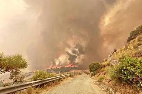 Le terribili immagini delle fiamme in Calabria (foto Ansa)