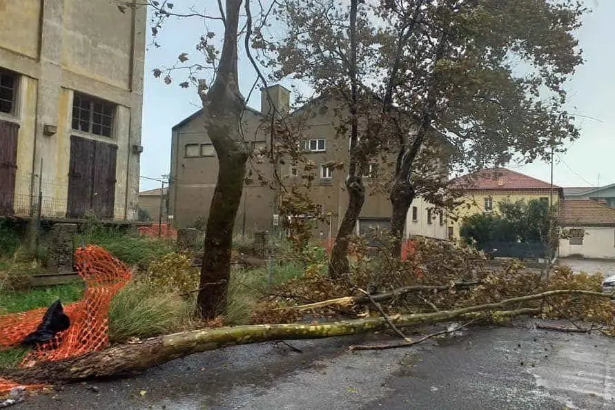Il centro di Arborea (foto Elia Sanna)