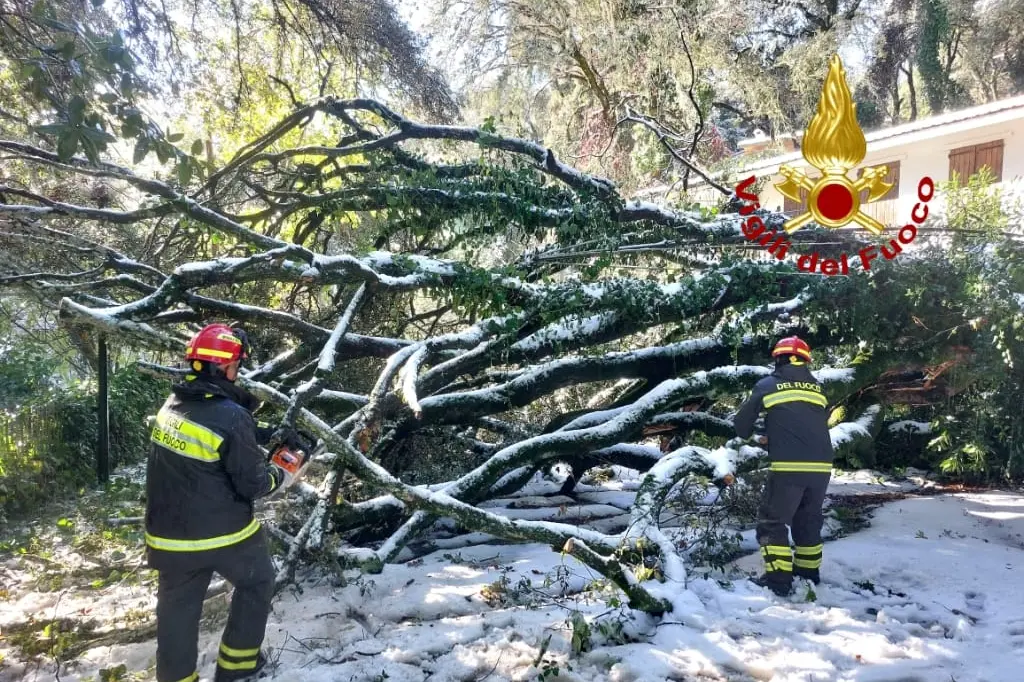 L'intervento dei vigili del fuoco