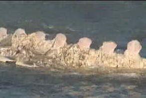Balena spiaggiata a Sorso, il &quot;caso&quot; è chiuso: spezzata in due dal mare