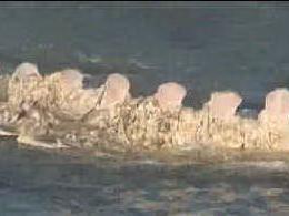 Balena spiaggiata a Sorso, il &quot;caso&quot; è chiuso: spezzata in due dal mare