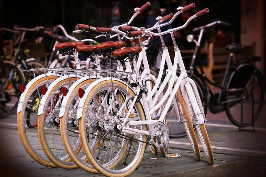Biciclette (foto Pixabay)