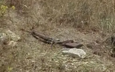 Il fucile del cacciatore abbandonato a terra (Foto carabinieri)