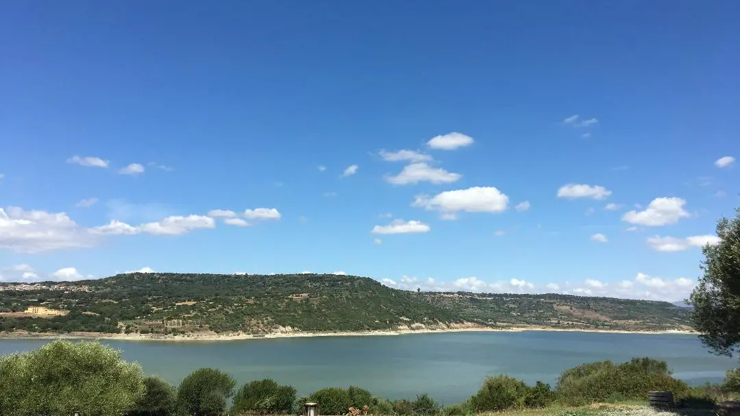 https://immagini.unionesarda.it/version/c:NzM2NDc0ZDYtZGMzNC00:MWU0ZTBiODQtMzJiNi00/image.webp?f=16:9