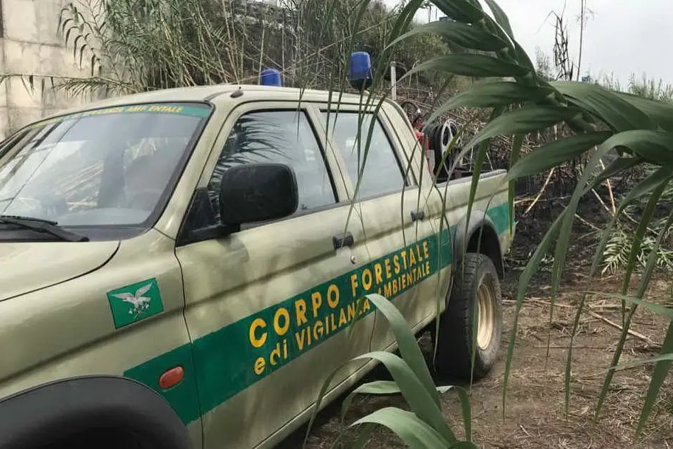 La Forestale al lavoro (foto Elia Sanna)