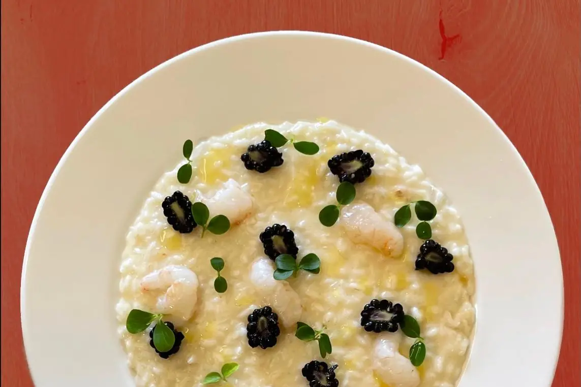 Il piatto (foto Scano)