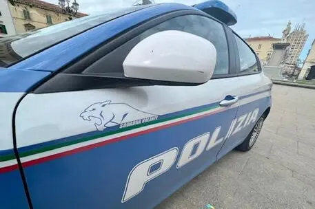 Polizia (Ansa)