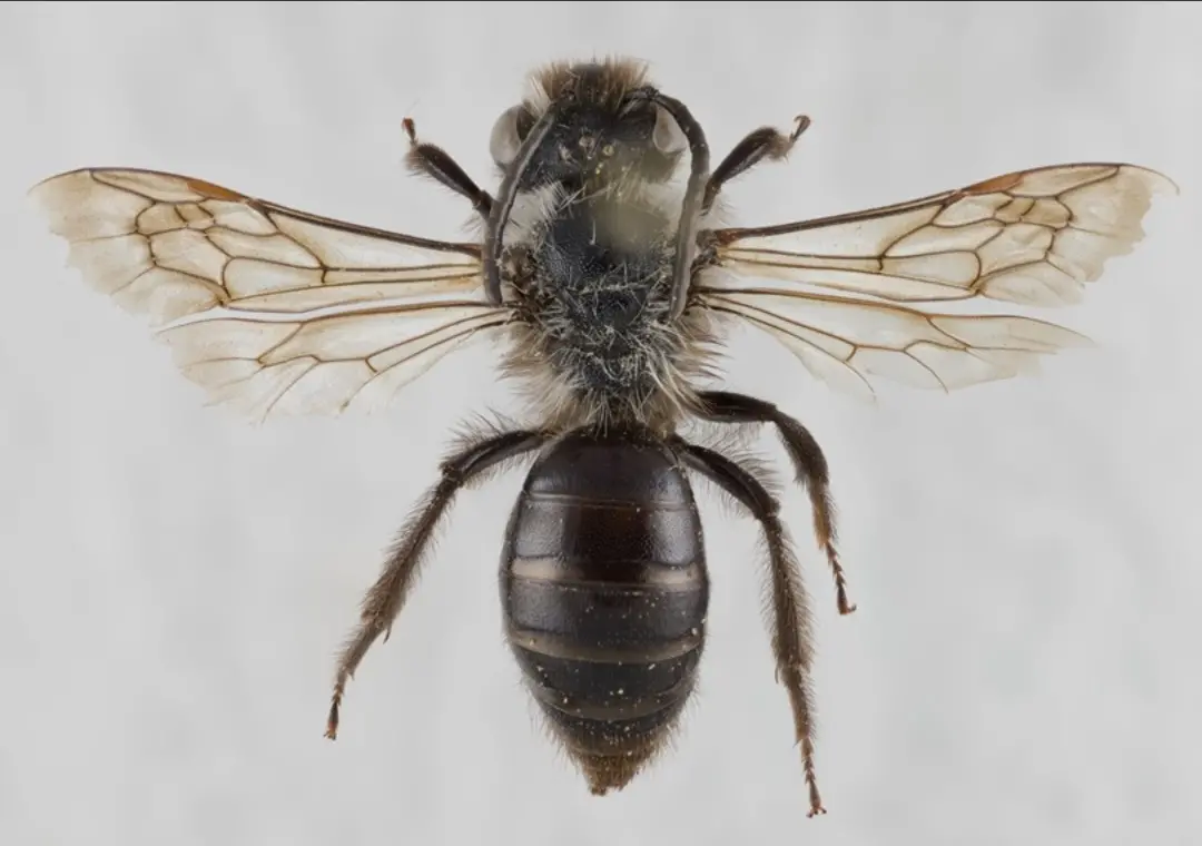 contentid/13fa58da-9138-4b07-8005-d81e895588b9