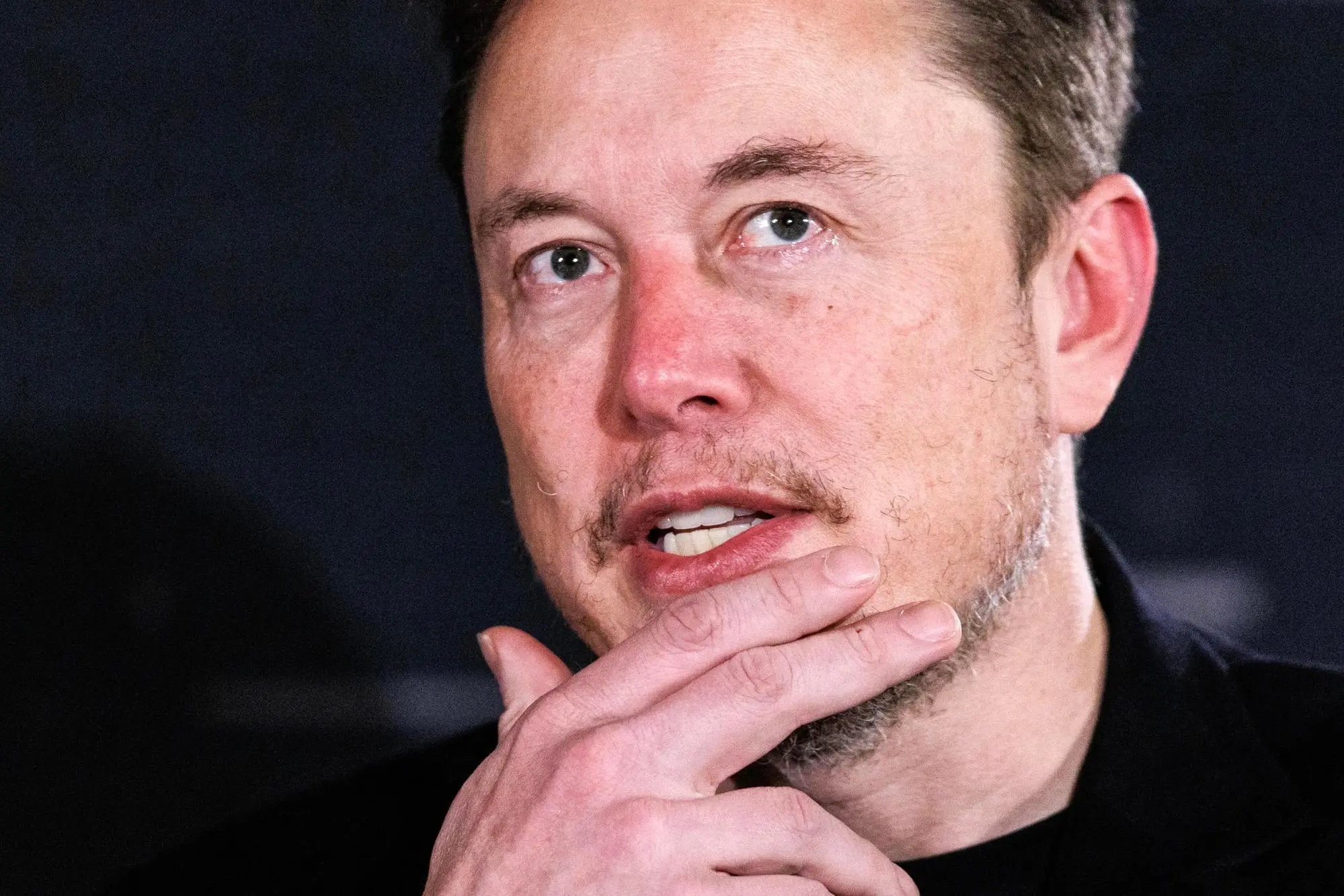 Elon Musk (Ansa-Epa)