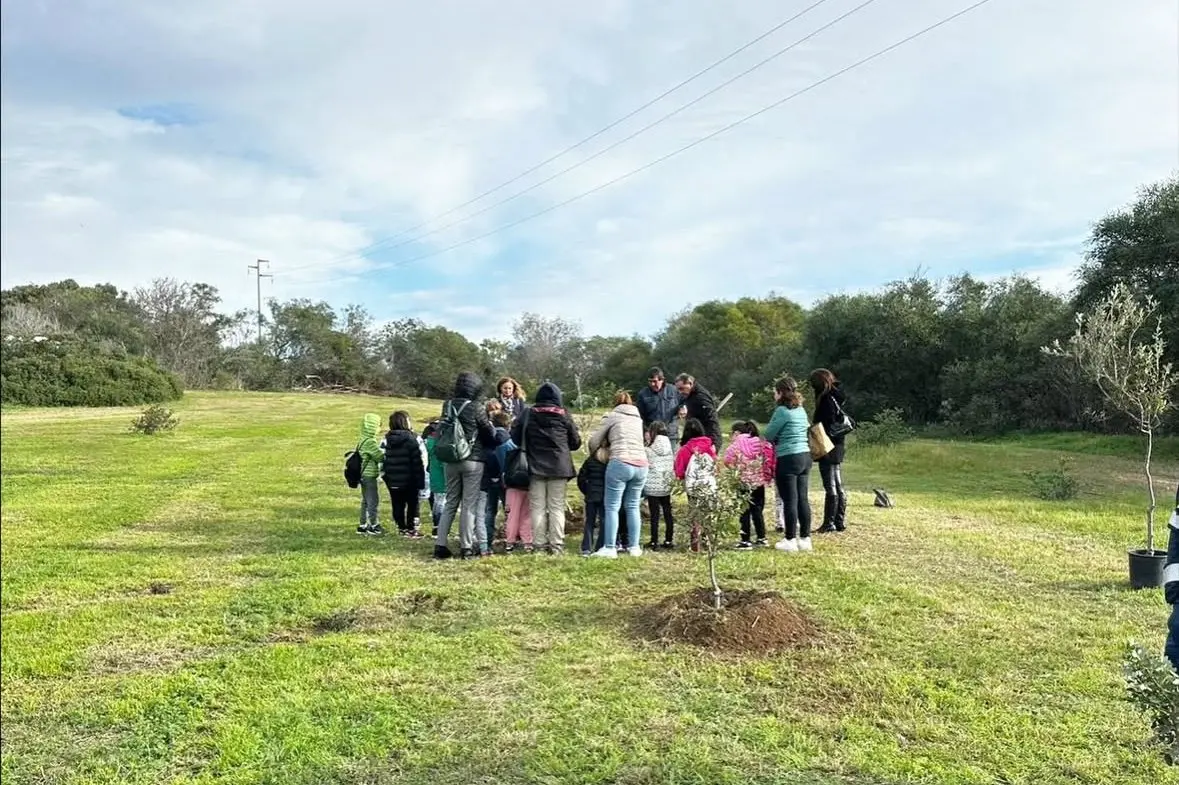 Villasimius festa dell'albero (Foto Agus)