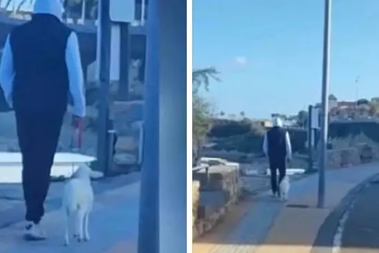 Il giovane con l'agnellino al guinzaglio (foto Facebook)