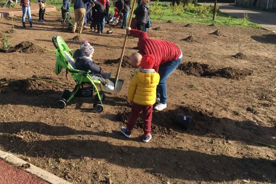 La posa degli alberi (foto L'Unione Sarda - Scano)