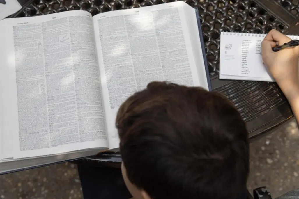 Immagine simbolo (Ansa)