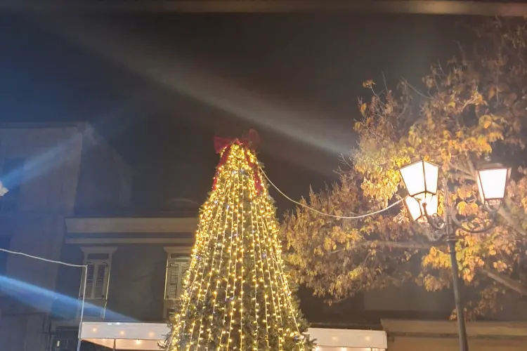 Albero di Natale dei commercianti a Porto Torres (foto Pala)