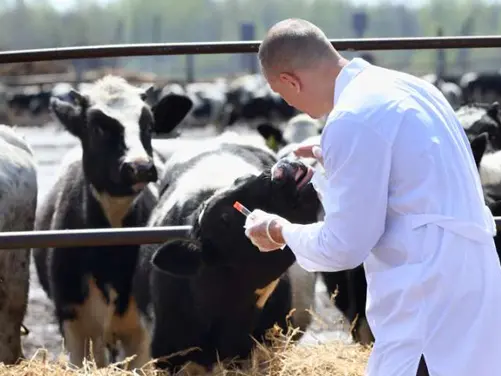 Immagine simbolo (Archivio)