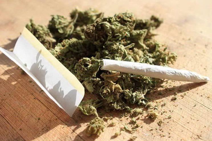 Ozieri, aveva 47 grammi di marijuana in casa: denunciato 26enne