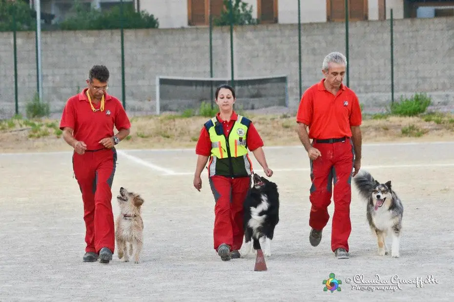 Una sfilata dei cani da soccorso di Capoterra (Murgana)