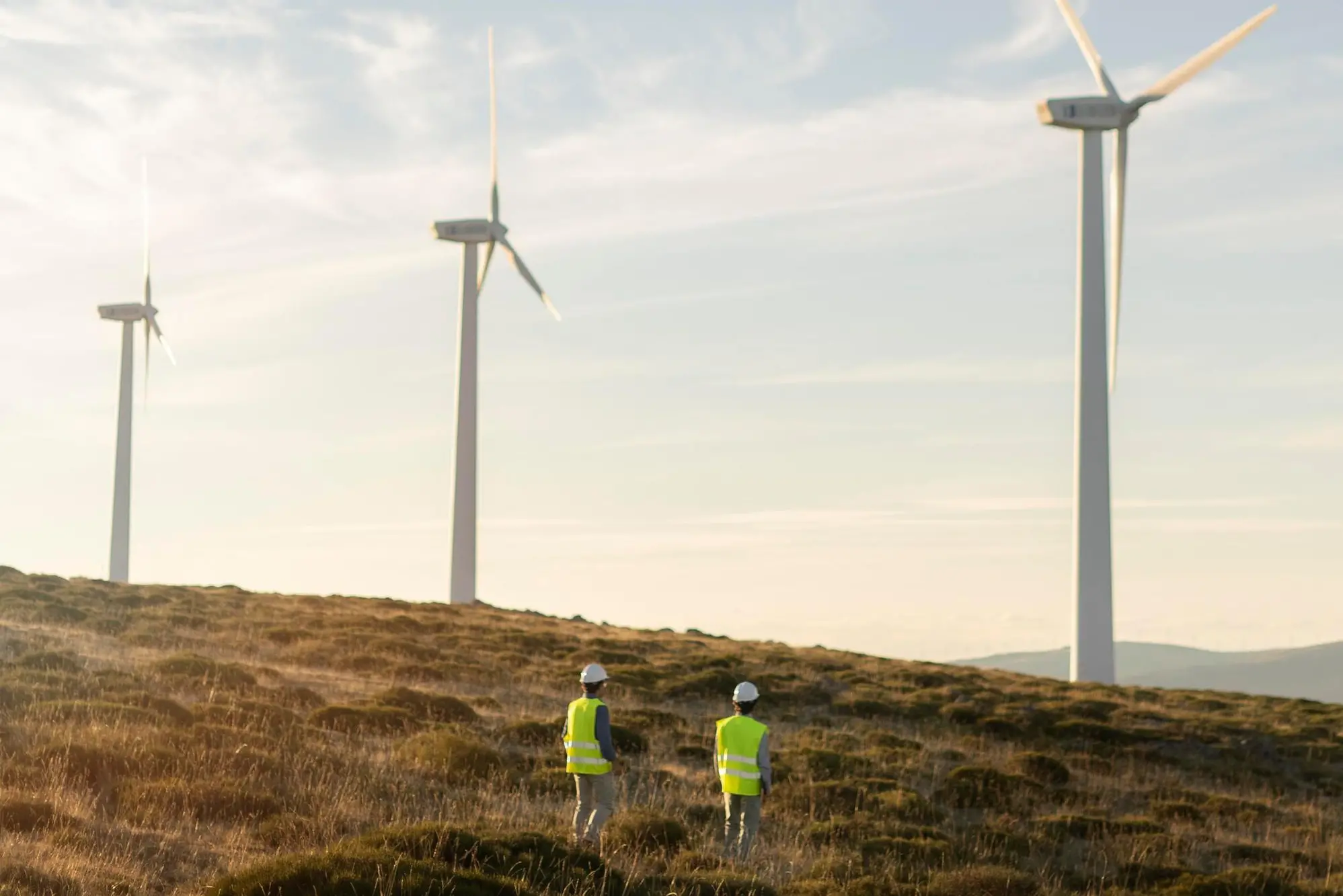 Freepik Company S.L. - www.freepik.com