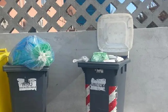 I contenitori irregolari (foto Pala)